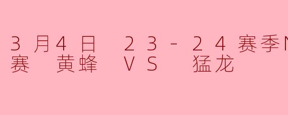 2024年3月4日NBA常规赛,黄蜂对阵猛龙的比赛结果如何?